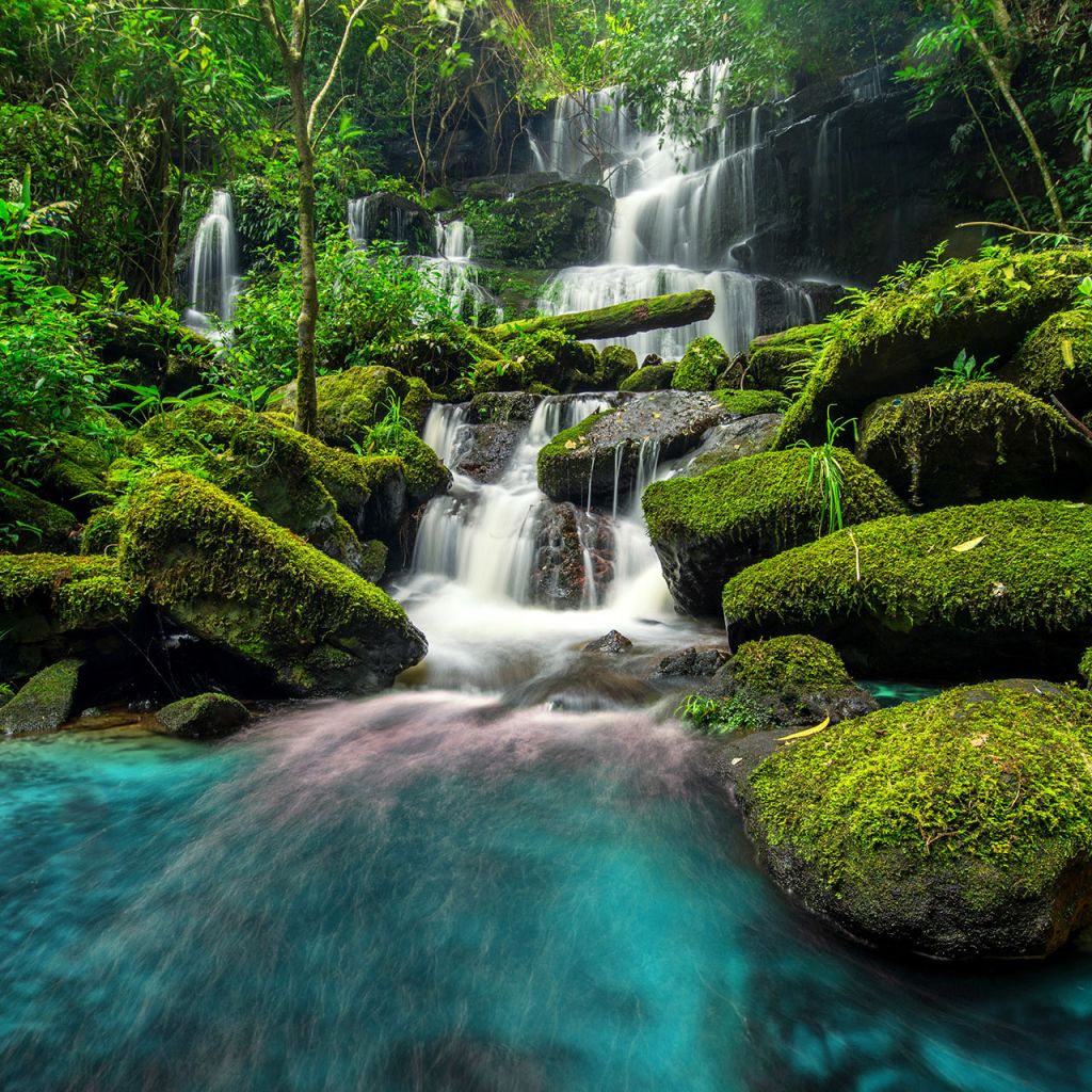 Clear blue forest stream weterfall