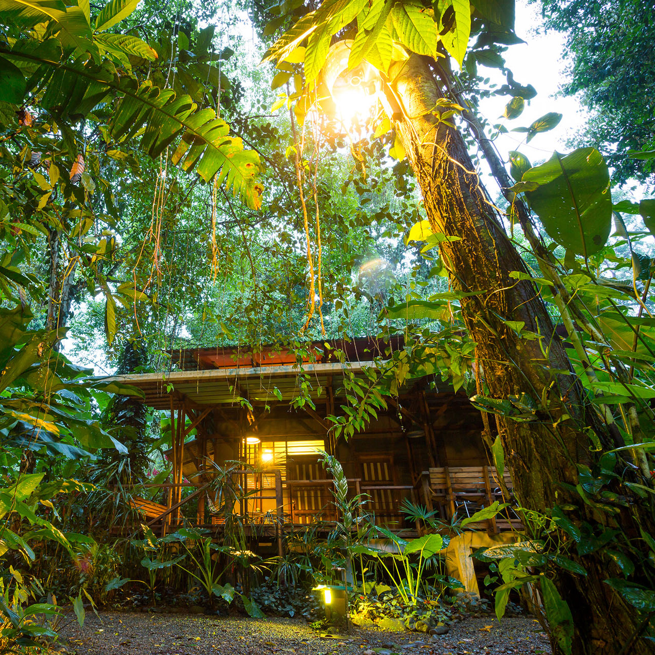 Eco-Tourism cabin in the forest by the stream